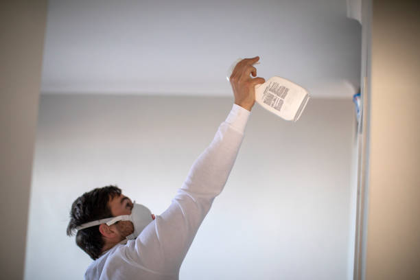 Best Mold Removal Near Me  in Onsted, MI