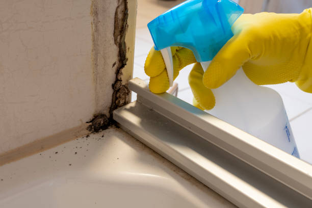 Best Mold Testing  in Onsted, MI